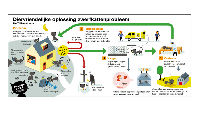 straatkattenkrant.png